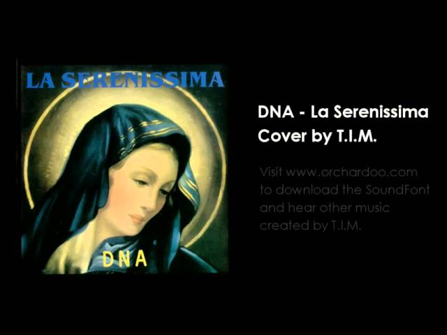 T.I.M. - La Serenissima (DNA Cover)
