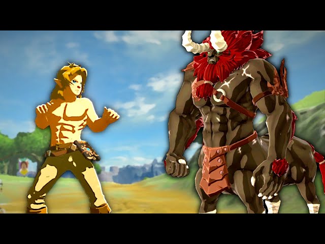 Karate Link vs Breath of the Wild