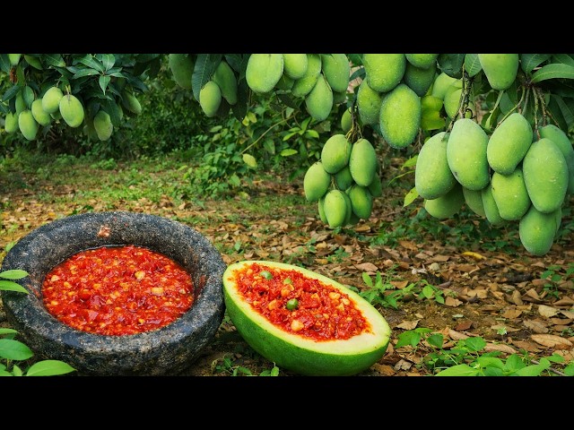 Fresh Mango Collection & Slicing