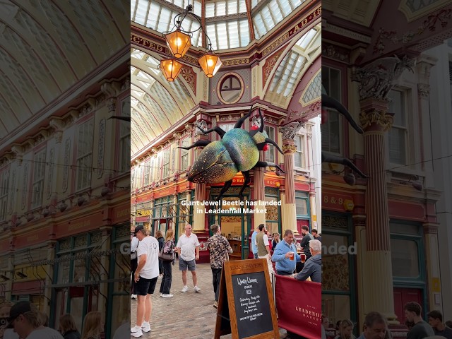 Giant Jewel Beetle has landed in Leadenhall Market, London #thingstodoinlondon