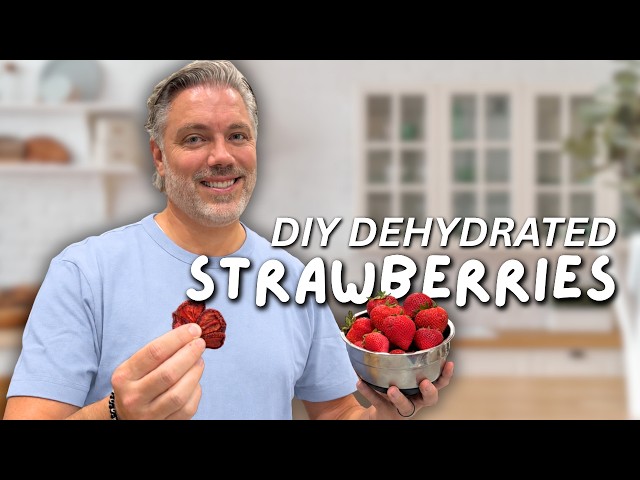 diy dried “daiquiri” strawberries | dehydrated homemade snacks