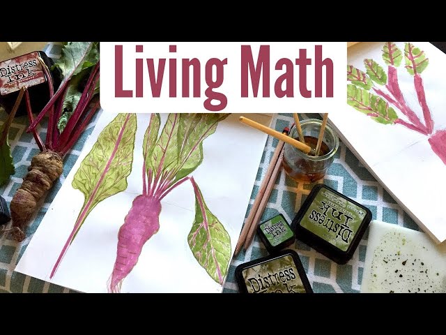 Teaching Ratios | Math in the Garden | Living Math Activities for Homeschool and Classroom