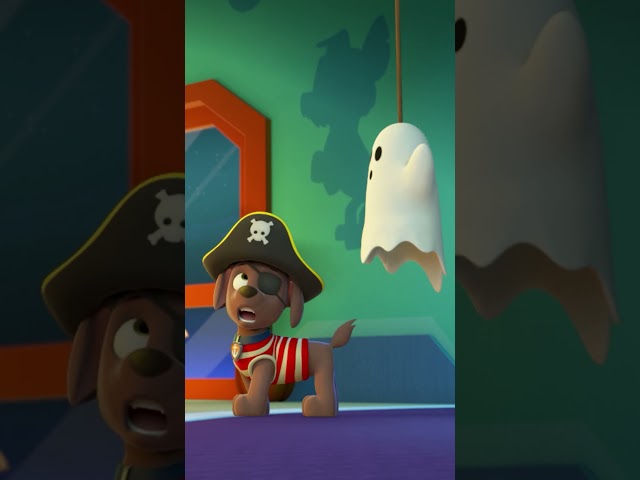 "Zuma is shook! What has this pup spooked!? 👻 #PAWPatrolShorts #kidsvideo