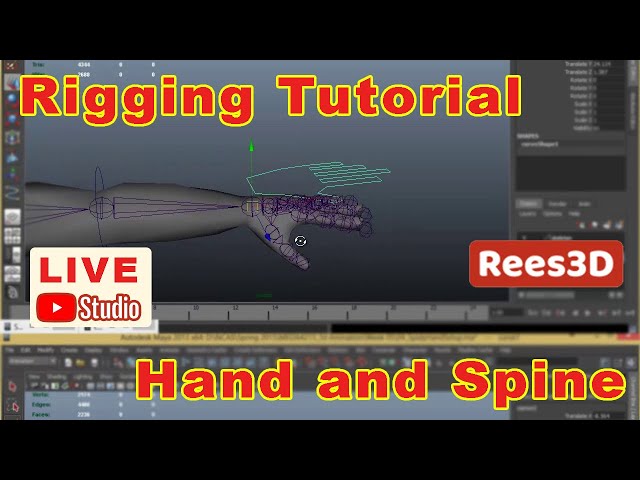 Maya Rigging Tutorial - Hand and Spine Control | Rees3D.com