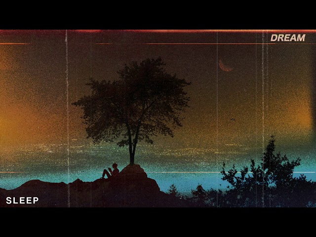 sapientdream - sleep