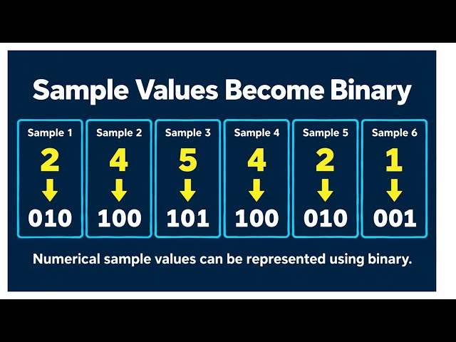 How Is Sound Stored as Binary? | Sampling Explained | Edexcel IGCSE Computer Science