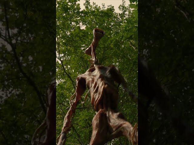 Climbing a tree to escape from Siren Head #horror