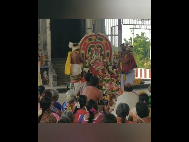முருகன் தெய்வானை திருக்கல்யாண வைபவம்.. #murugan #shorts #marriage #kalyanam #tamil #shortvideo