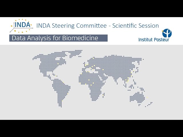 INDA Steering Committee - Scientific Session 2015 #INDA4IP15
