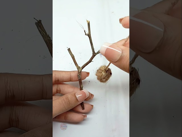 How to Make a Mini Clay Bird Nest 🐦🌿 | Cute DIY #shorts #diy @AfriNahiD#art