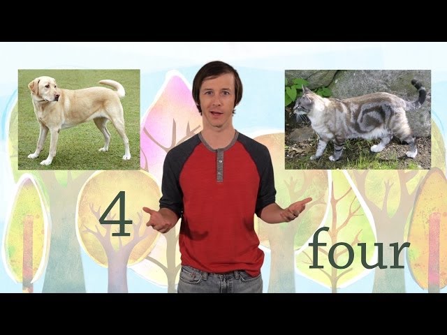 4: The Number Four - Kids Learn to Count Numbers