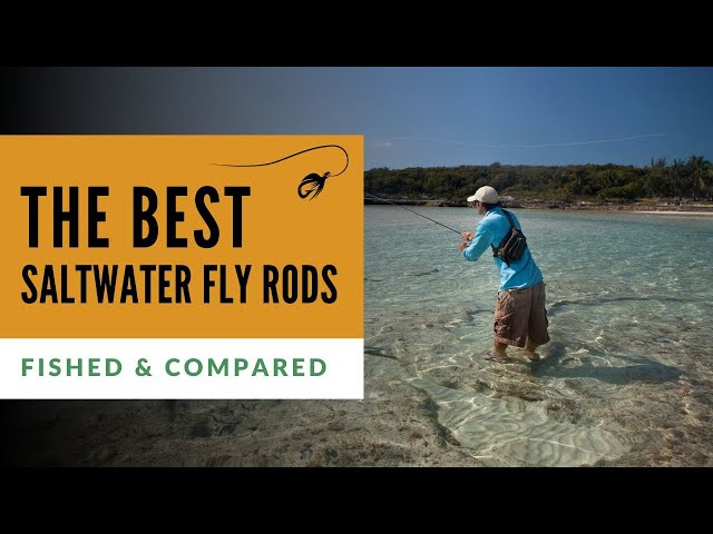 Best Saltwater Fly Rods (Tested & Compared)