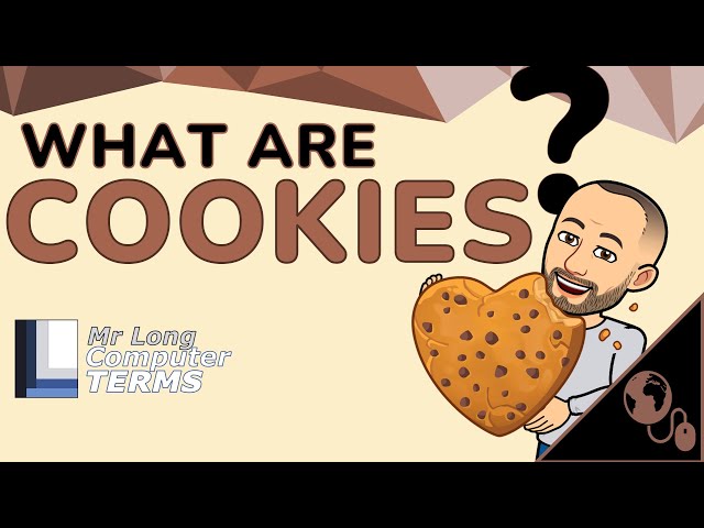 Mr Long Computer Terms | What are Cookies?
