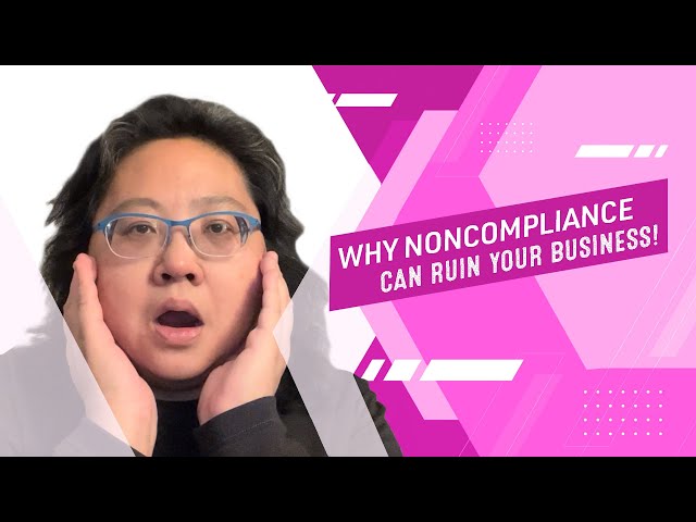 Web Access Pro: Why Not Making Your Website Accessible Can Ruin Your Business!
