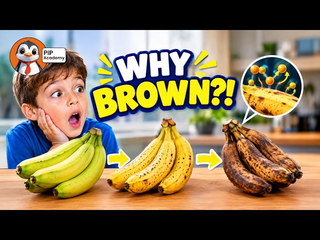 Why Do Bananas Turn Brown? The Surprising Science Explained!