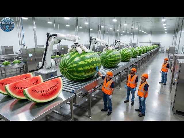 Inside Factory: Thousands of Watermelon Cubes—Perfectly Uniform (Full Process)