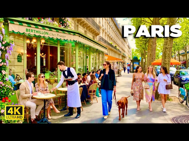 🇫🇷 Paris Walk Tour 🌸 Notre-Dame, Le Louvre, Rivoli | 4K 60fps