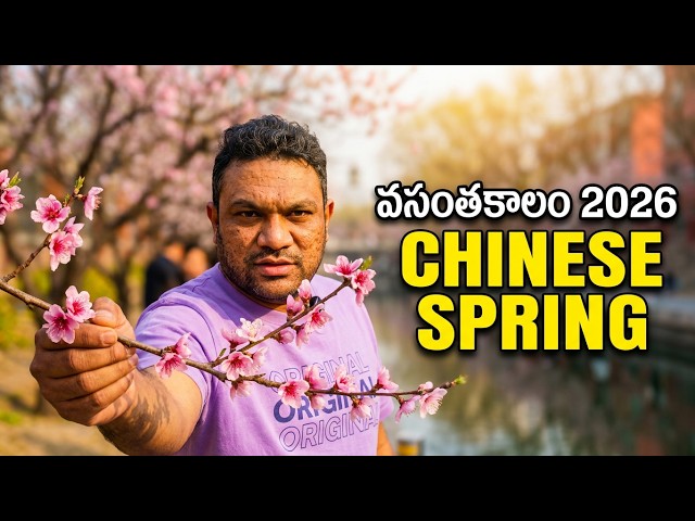 What Happens During Spring in China? (Peach Blossoms) | China Alludu