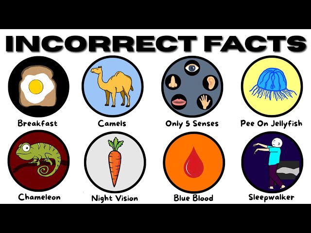 Totally Incorrect Facts Everyone Still Believes