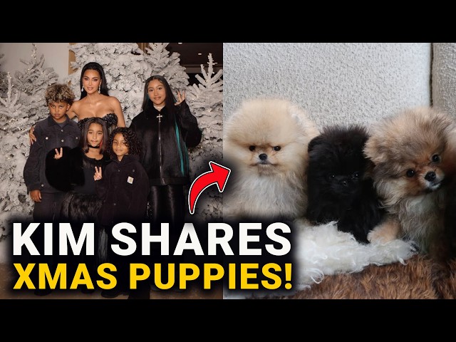Kim Kardashian Ignores PETA Backlash & Posts Xmas Puppies Again