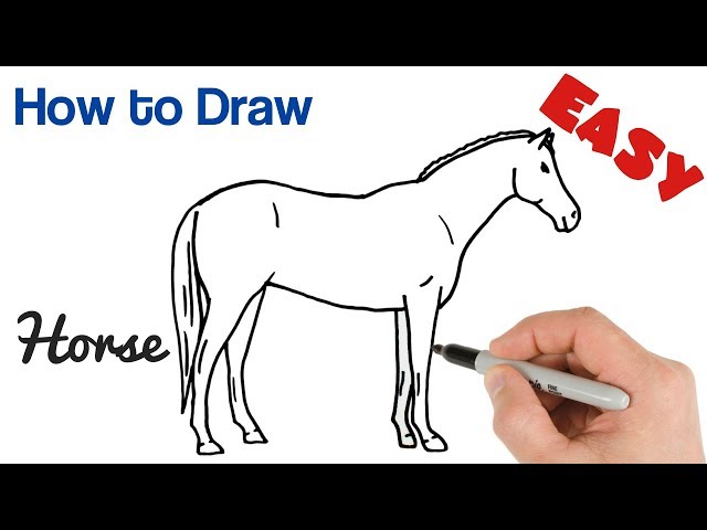 How to Draw a Horse Easy Step by Step Drawing