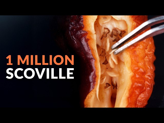 I Planted a 1 Million Scoville Pepper Seed and Filmed it For 5 Months