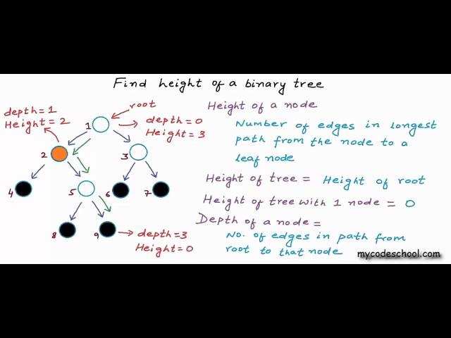 Find height of a binary tree