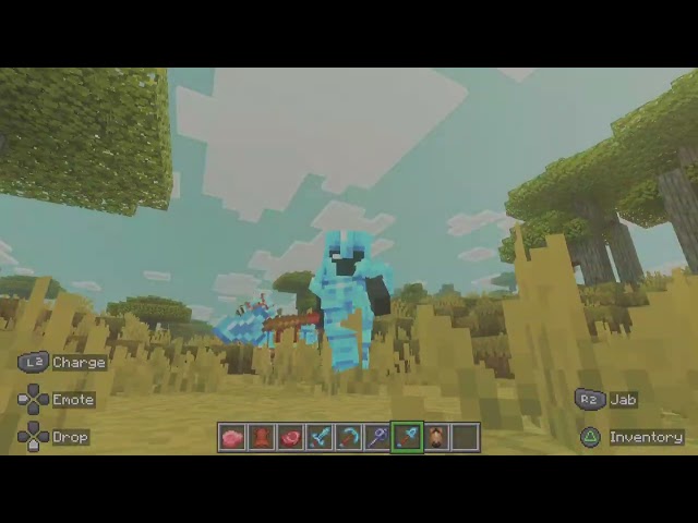 The best Minecraft animation mod