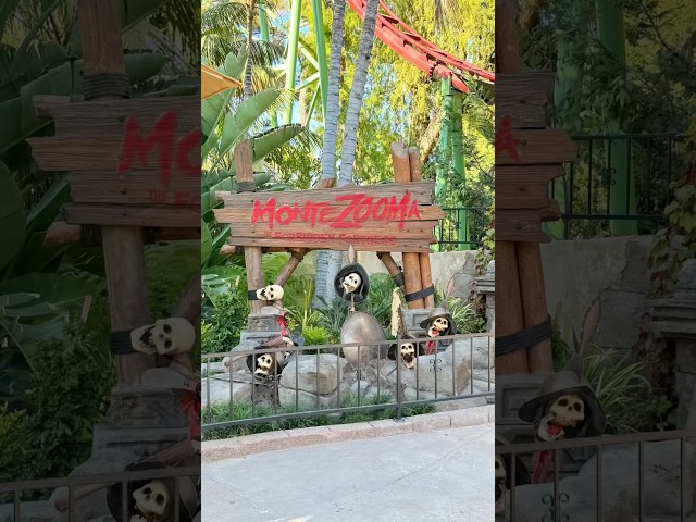 Did MonteZOOMa Queue Live Up to the Hype!