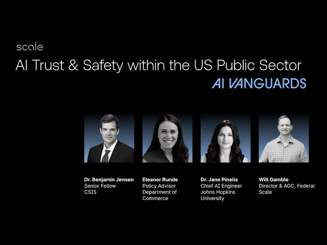 AI Trust & Safety within the United States Public Sector