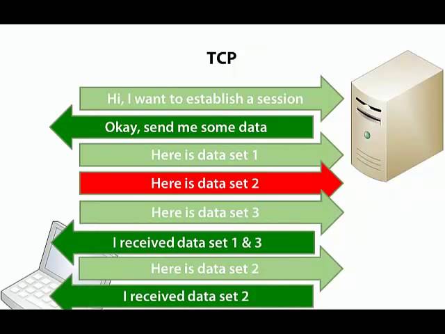 TCP and UDP