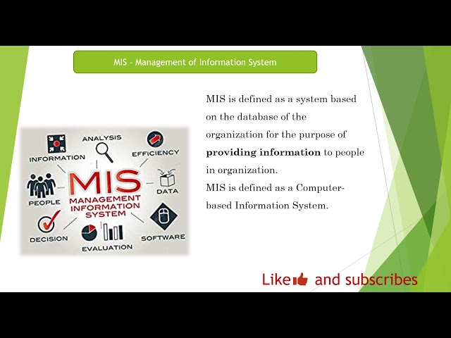 How To Become MIS Executives / What is qualification require to become MIS / Salary and Task of MIS