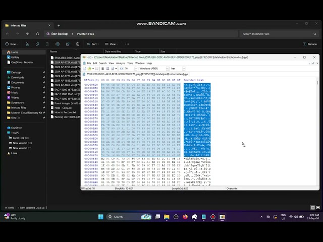 NoxLock Ransomware Forensics: Binary Recovery & Hex File Comparison