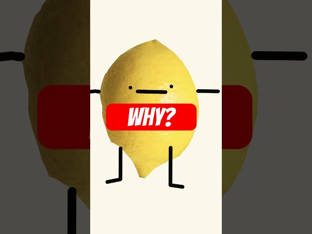 Why is this Lemon EVERYWHERE on YouTube? 🤨 #funny