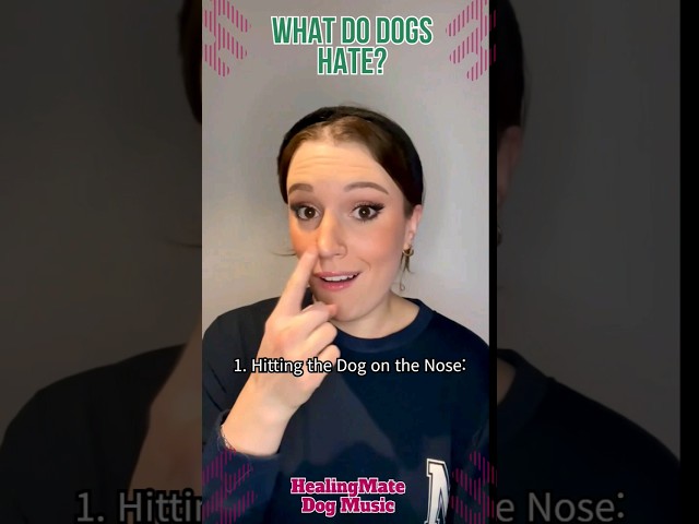 🐶💖What Do Dogs Hate?💖🐶