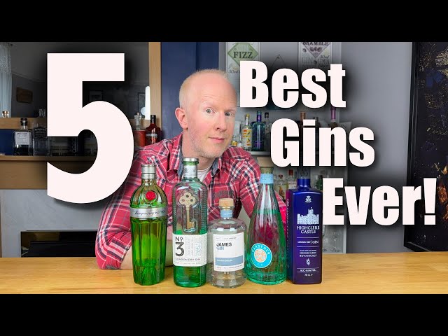 The 5 Best Gins Ever! – Ultimate Gin Lovers’ Guide! 🍸