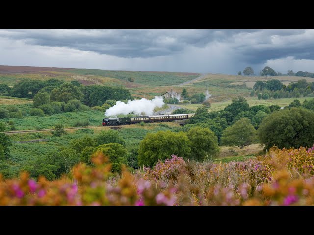 Scenic Countryside Views of Yorkshire | Rural Life in the UK