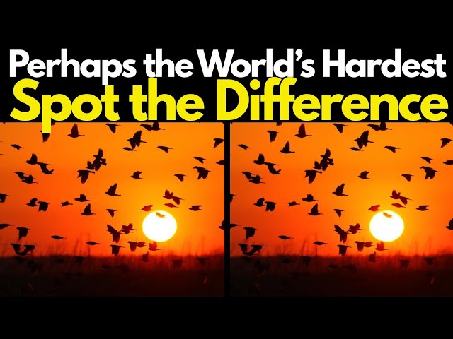 Only a GENIUS Can Score 100% | Ultimate Spot the Difference Game