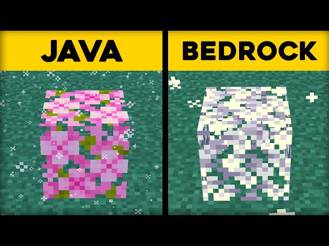 50 Java VS Bedrock Things in Minecraft