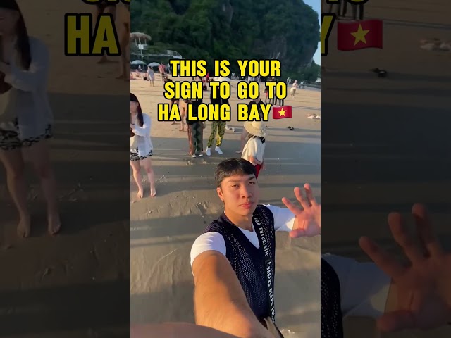 Your sign to go to Ha Long Bay, Vietnam🇻🇳🏝