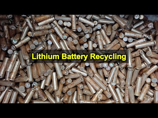 How Does a 100 Kg/H Lithium Battery Recycling Line Work? | Factory Test