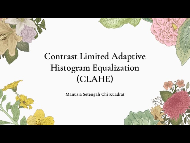 Contrast Limited Adaptive Histogram Equalization (CLAHE)