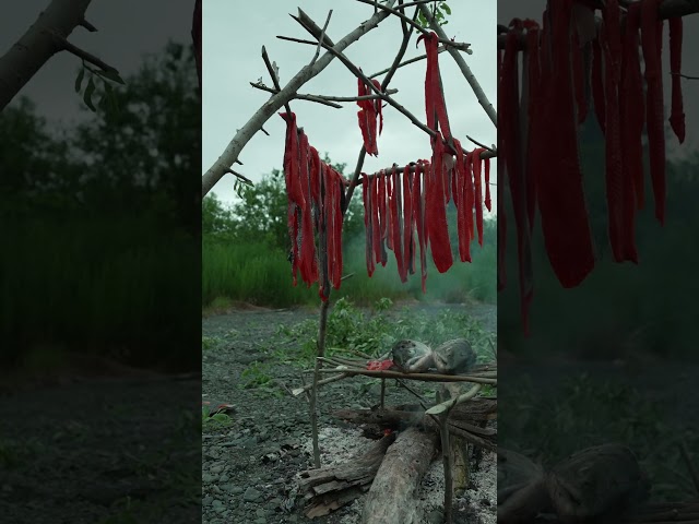 The Fastest Way to Dry Salmon in the Wild #outdoors #camping #skills