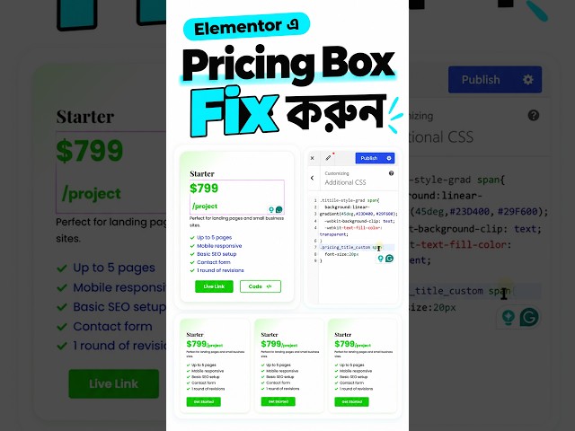 Elementor Pricing Box Design Fix করুন | WordPress Tutorial