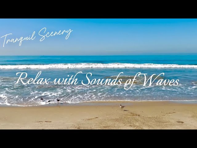 Refreshing Blue Sea Waves 🌊 8 Hours of Tranquil Scenery with Birds & Nature Sounds, Relaxing Ocean