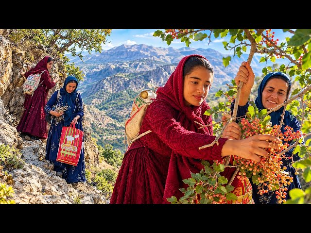 They Climbed Deep Into the Wild Zagros Mountains… Then They Found Thi