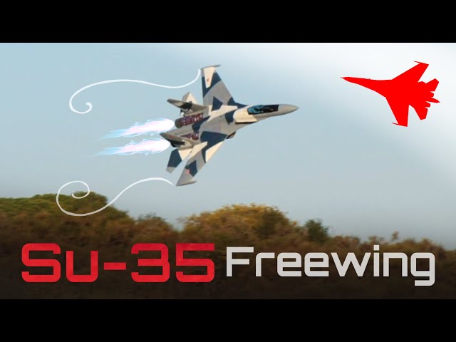 Su-35 RC Jet Flights at Scale Model Event ✈️ Freewing, Twin 70mm EDF