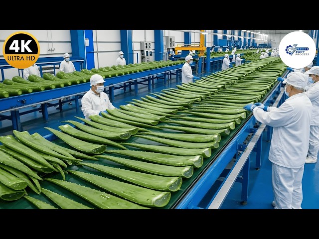 Inside a K-Beauty Factory: Mass Producing Aloe Vera Sheet Masks (Full Process)
