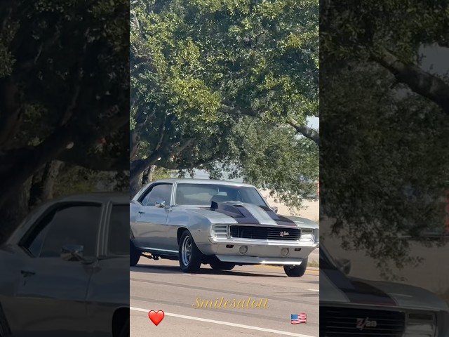 CLASSIC #chevrolet #camaro #classiccars #musclecar #oldschool #oldclassic #carshorts #sharp #socool