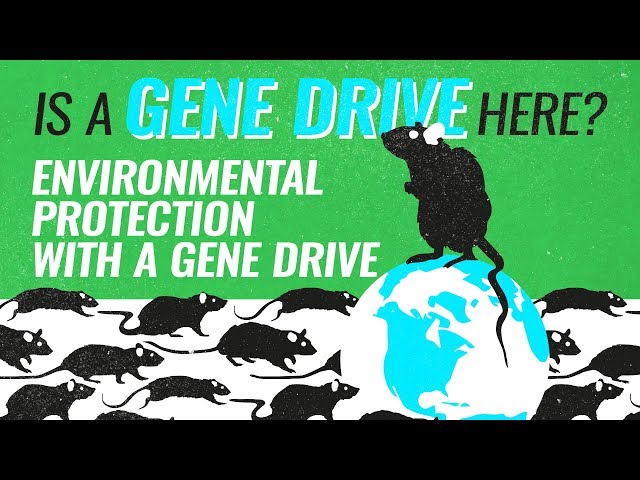 CRISPR Gene Drive (Complete guide 2019)